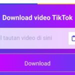 Panduan Lengkap: Download Video TikTok dengan Aplikasi Terbaru